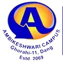 Ambikeshwari College